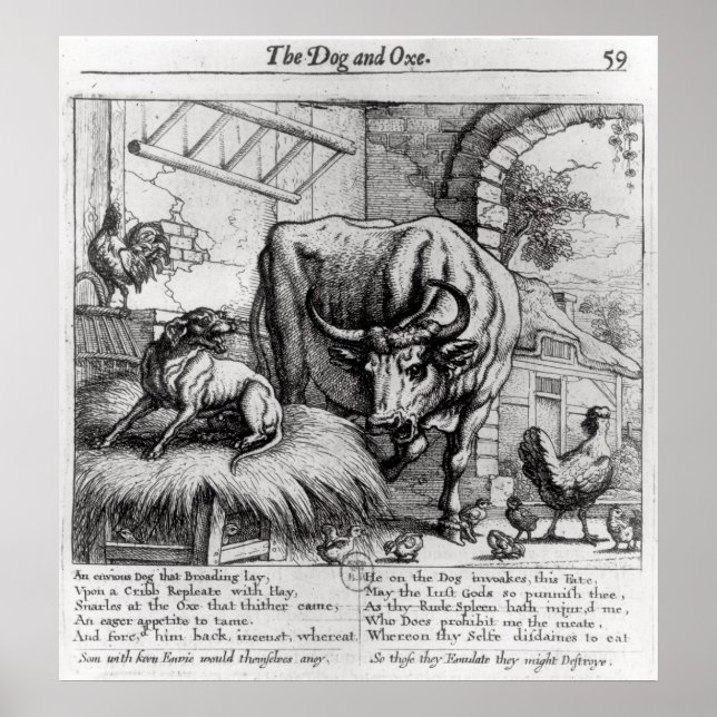 Affiche Illustration pour 'Le chien et le boeuf' (Devant)