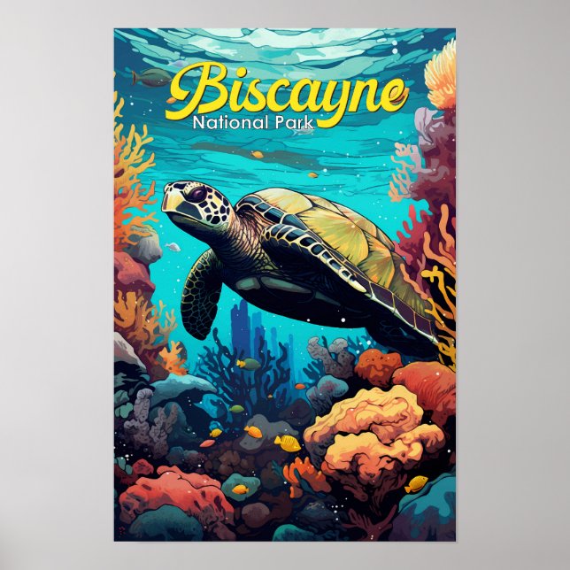 Affiche Illustration Rétro de Tortue du Parc National de B (Devant)