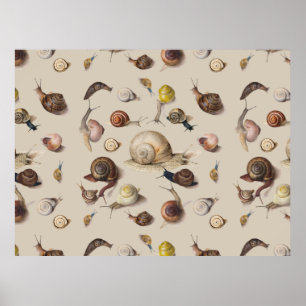 Affiche Illustration scientifique d'escargots de jardin vi