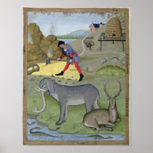 Affiche Illustration tirée du livre "Book of Simple"