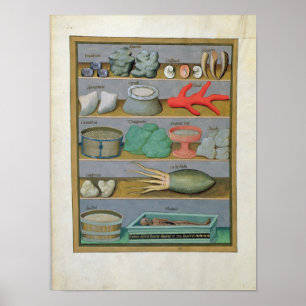 Affiche Illustration tirée du "Livre des médicaments simpl