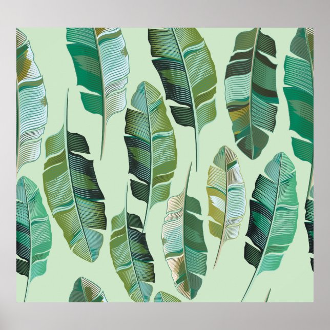 Affiche Illustration tropicale Plante de banane à la mode (Devant)