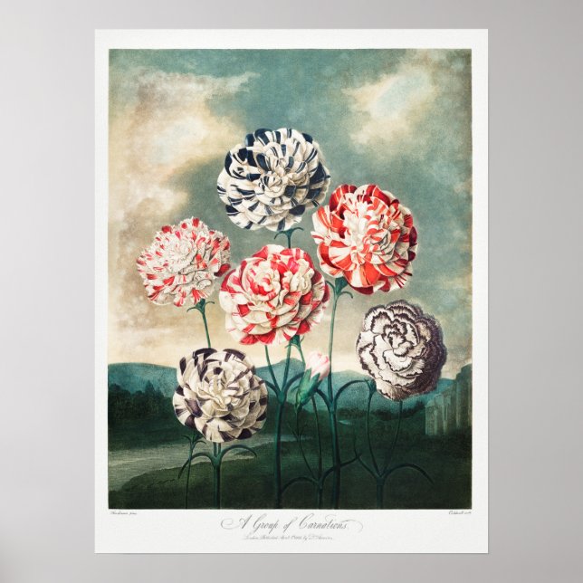 Affiche Illustration vintage (Devant)