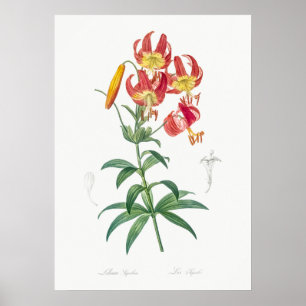 Affiche Illustration vintage