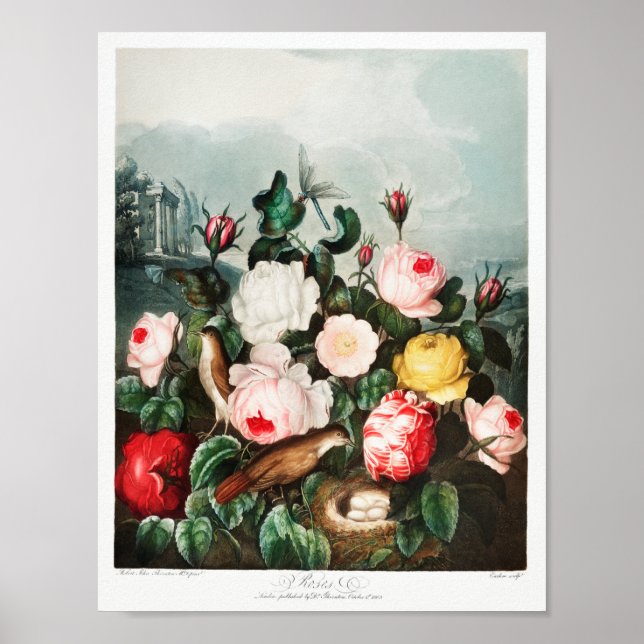 Affiche Illustration vintage (Devant)