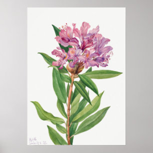 Affiche Illustration vintage