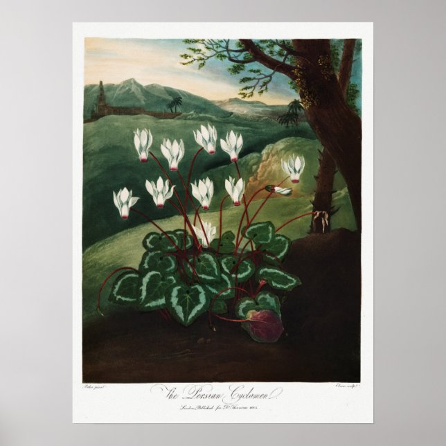 Affiche Illustration vintage (Devant)