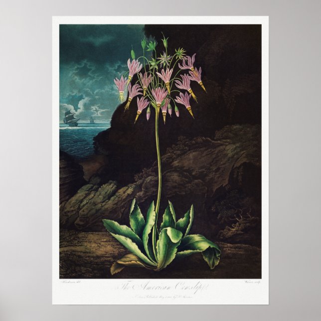 Affiche Illustration vintage (Devant)