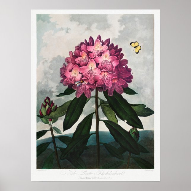 Affiche Illustration vintage (Devant)
