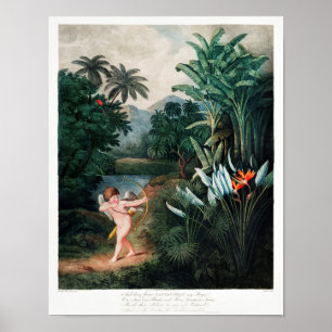 Affiche Illustration vintage