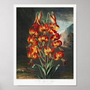 Affiche Illustration vintage