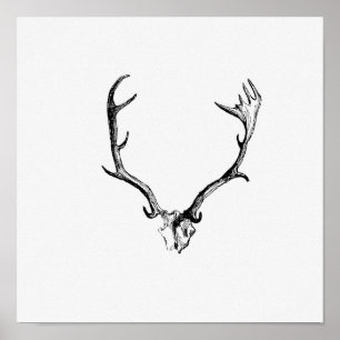 Affiche Illustration vintage Antlers