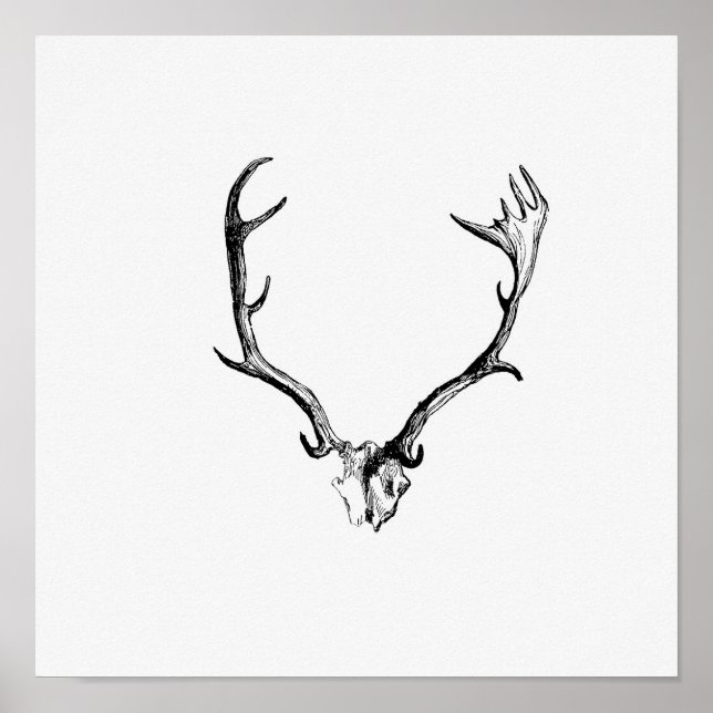 Affiche Illustration vintage Antlers (Devant)