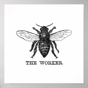Affiche Illustration vintage d'abeille ouvrière