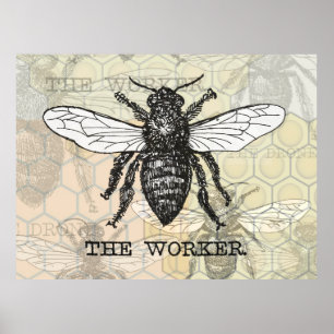 Affiche Illustration vintage d'abeille ouvrière