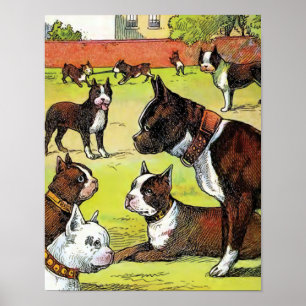 Affiche Illustration Vintage de Boston Terrier et Puppies
