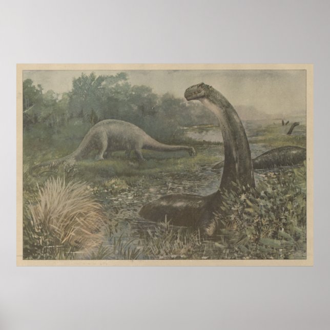 Affiche Illustration vintage de Brachiosaurus Dinosaures (Devant)