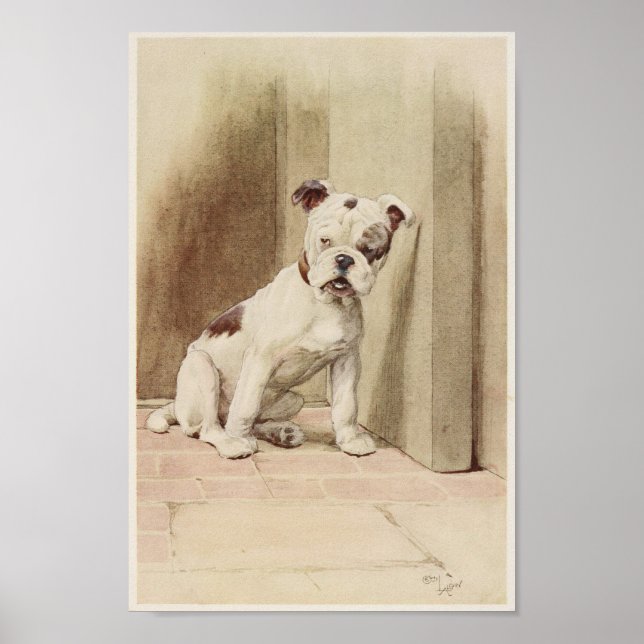 Affiche Illustration vintage de Bulldog (Devant)