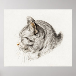 Affiche Illustration vintage de chat