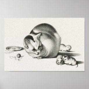 Affiche Illustration vintage de chat