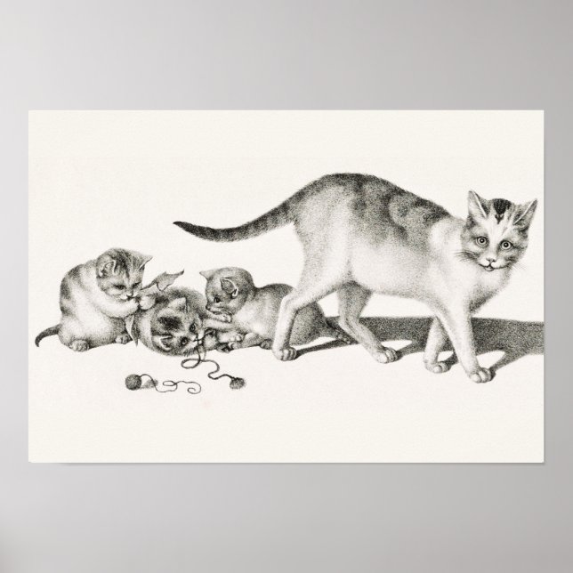 Affiche Illustration vintage de chat (Devant)