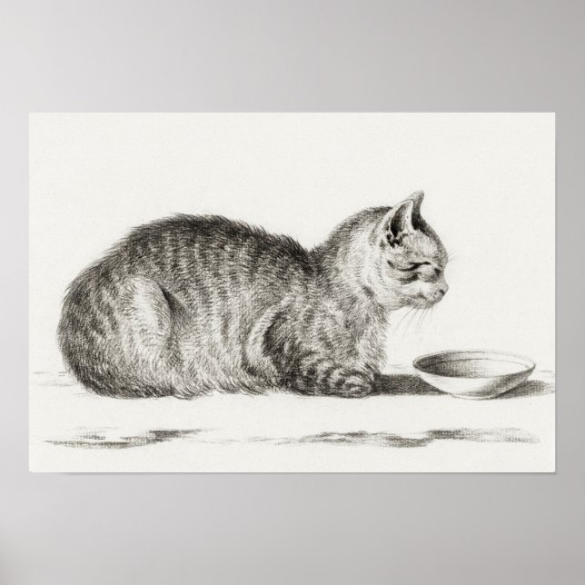 Affiche Illustration vintage de chat (Devant)