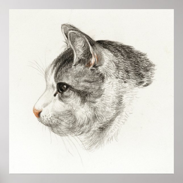 Affiche Illustration vintage de chat (Devant)