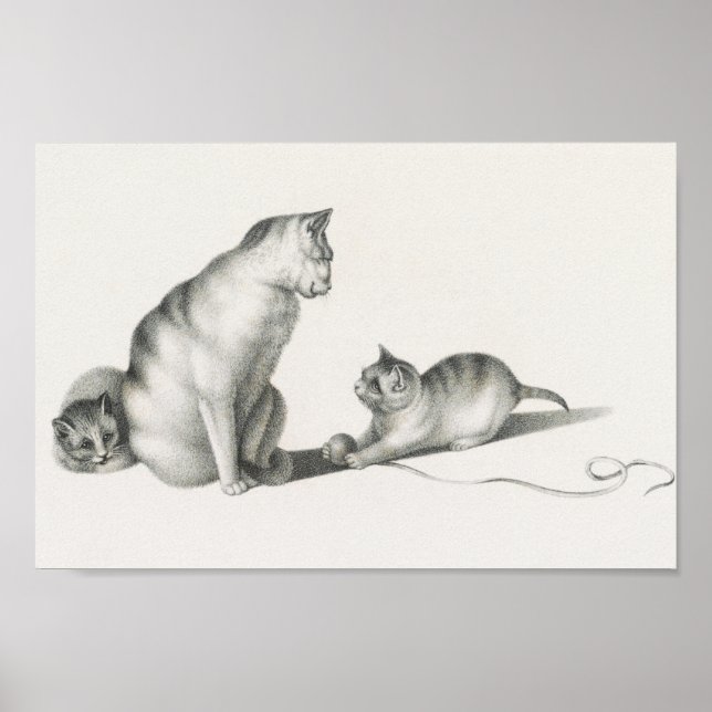 Affiche Illustration vintage de chat (Devant)