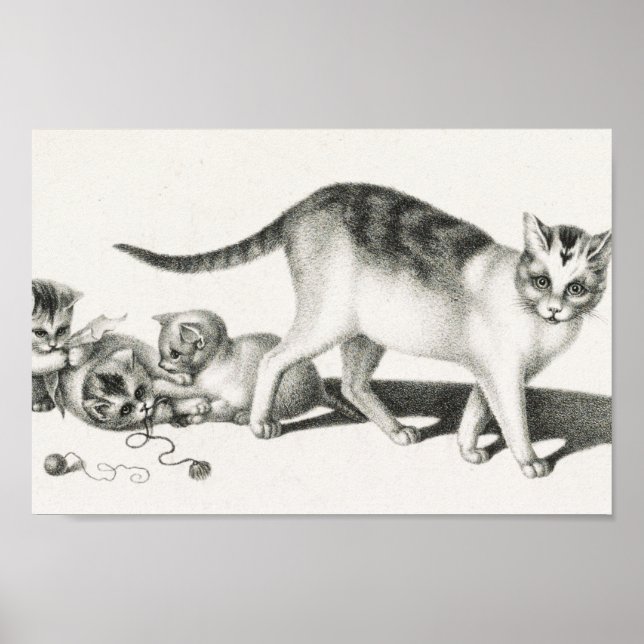 Affiche Illustration vintage de chat (Devant)