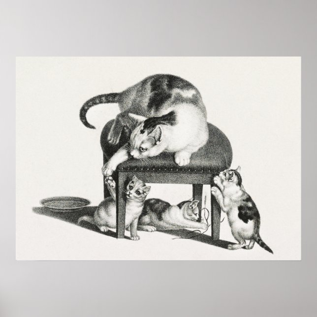 Affiche Illustration vintage de chat (Devant)