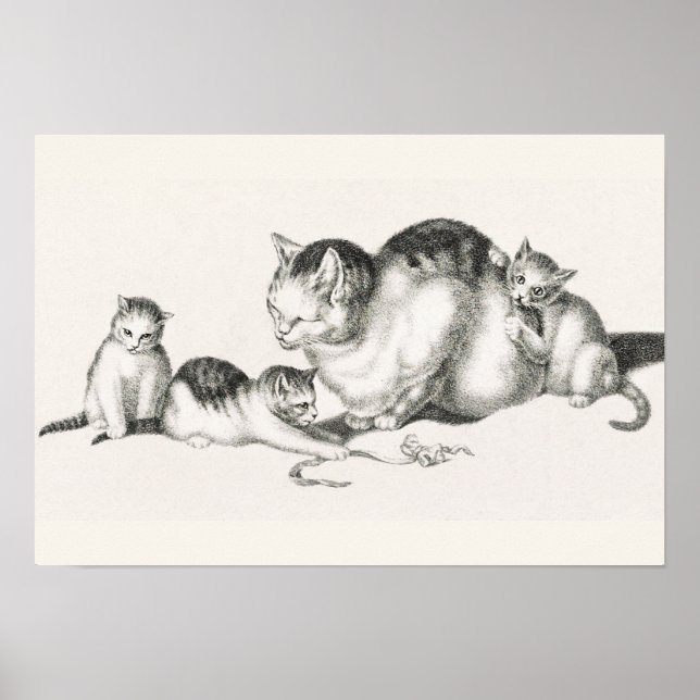 Affiche Illustration vintage de chat (Devant)