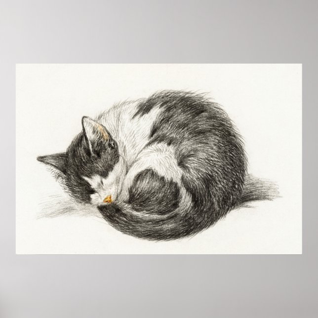 Affiche Illustration vintage de chat (Devant)