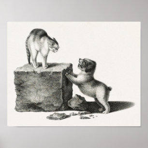 Affiche Illustration vintage de chats et de tasses
