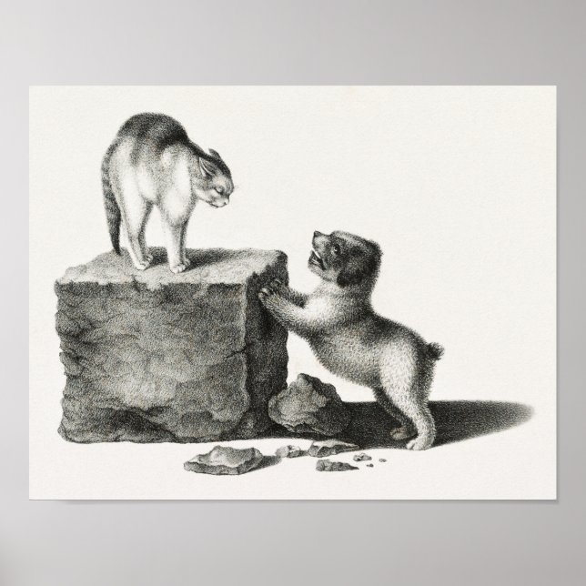 Affiche Illustration vintage de chats et de tasses (Devant)