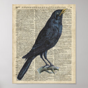 Affiche Illustration Vintage De Crow Sur La Page Old Encyc
