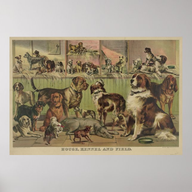 Affiche Illustration vintage de diverses races de chiens ( (Devant)