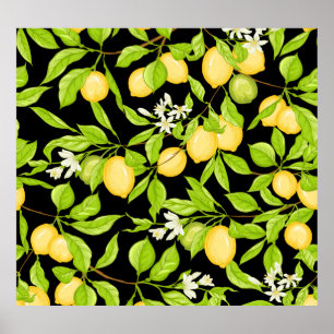 Affiche Illustration Vintage de la branche de citron