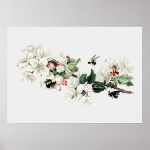 Affiche Illustration vintage de l'abeille