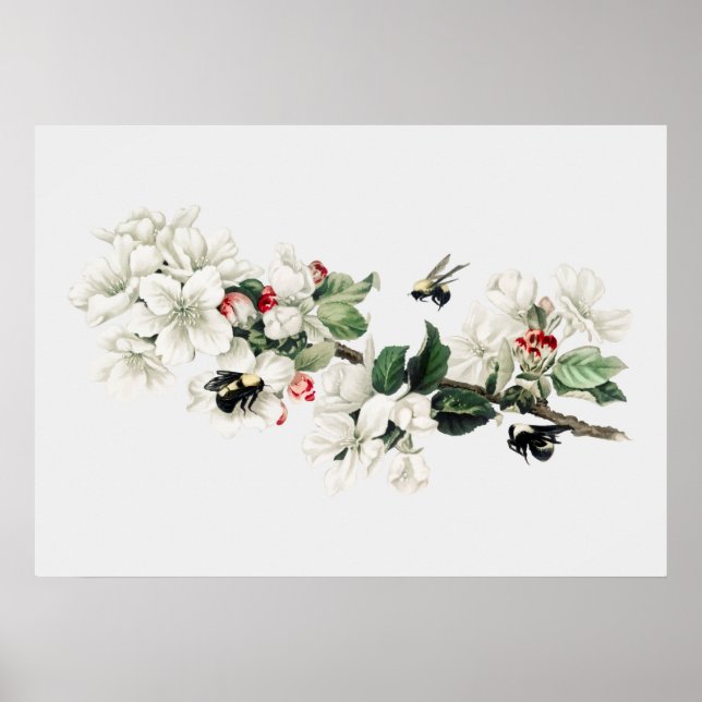 Affiche Illustration vintage de l'abeille (Devant)