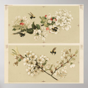 Affiche Illustration vintage de l'abeille