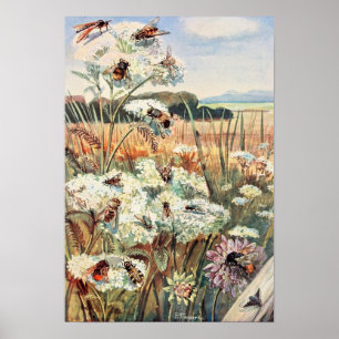 Affiche Illustration vintage de l'abeille