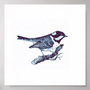 Affiche Illustration Vintage de petit oiseau bleu mou