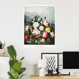 Affiche Illustration vintage de Thornton Roses Bird Nest