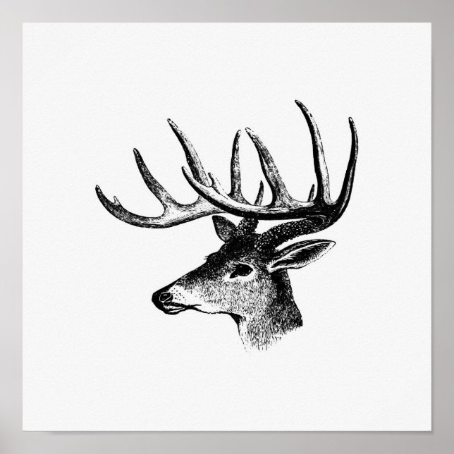 Affiche Illustration vintage Deer (Devant)