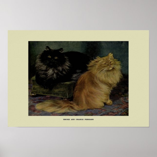 Affiche Illustration vintage des chats (Devant)