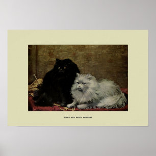 Affiche Illustration vintage des chats