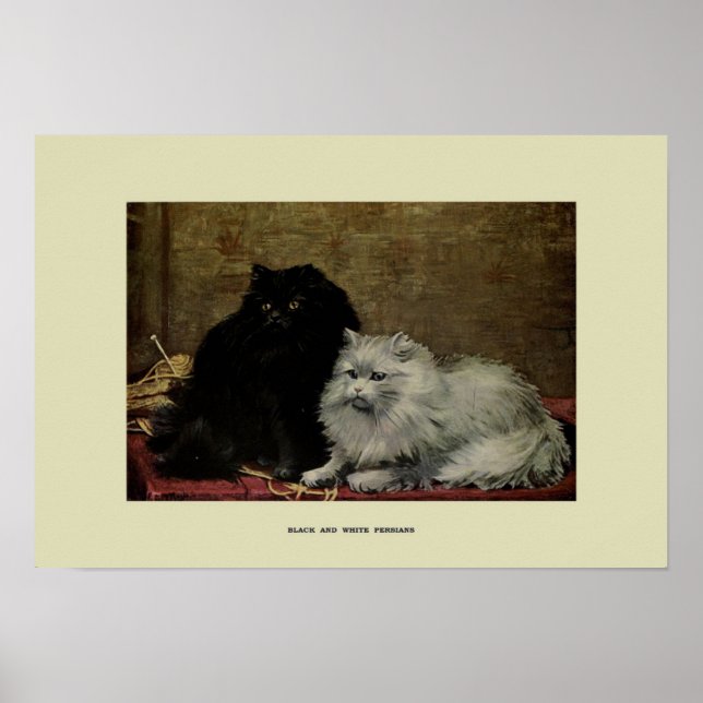 Affiche Illustration vintage des chats (Devant)