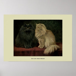 Affiche Illustration vintage des chats