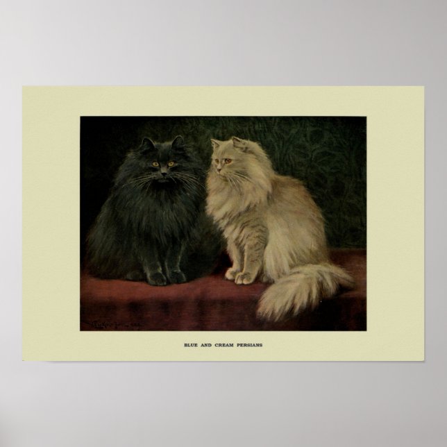 Affiche Illustration vintage des chats (Devant)