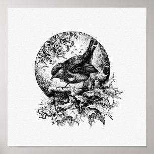 Affiche Illustration vintage d'oiseaux